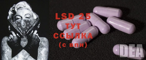 спайс Бородино