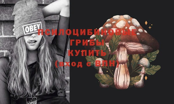 PSILOCYBIN Верея