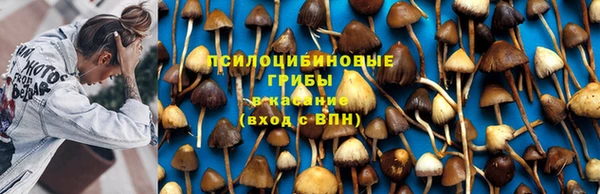 стафф Бронницы