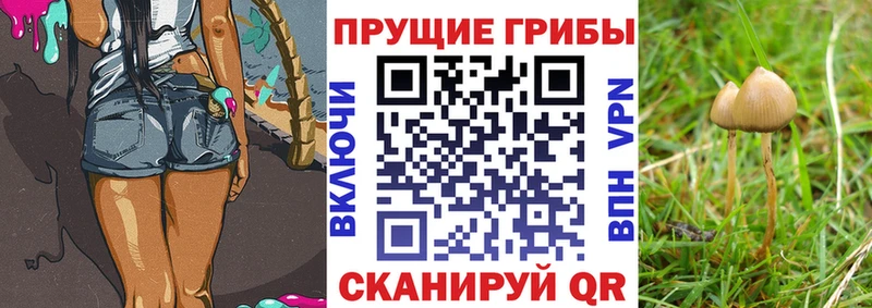 Галлюциногенные грибы ЛСД  Бугуруслан 
